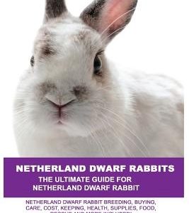 Netherland Dwarf Rabbits: Netherland Dwarf Rabbit Breeding, Buying, Care, Cost, Keeping, Health, Supplies, Food, Rescue and More Included! The U