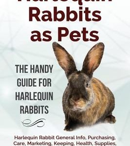 Harlequin Rabbits as Pets: Harlequin Rabbit General Info, Purchasing, Care, Marketing, Keeping, Health, Supplies, Food, Breeding and More Include