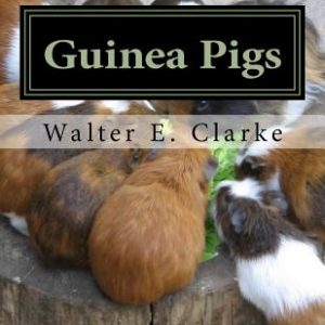 Guinea Pigs: A Practical Treatise on their Breeding, Feeding and Management of Cavies