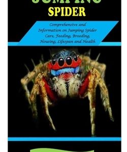 Jumping Spider: JUMPING SPIDER: Comprehensive and information on Jumping Spider Care, Feeding, Breeding, Housing, Lifespan and Health