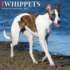 Just Whippets 2023 Wall Calendar