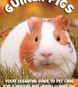 Guinea Pigs: Your Essential Care Guide for a Healthy and Happy Guinea Pig