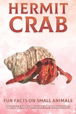 Hermit Crab: Fun Facts on Small Animals #9