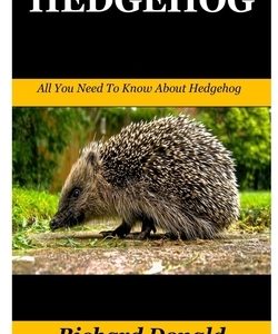 Hedgehog: All You Need To Know About Hedgehog