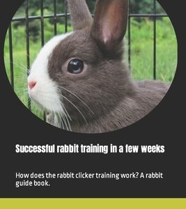 Successful rabbit training in a few weeks: How does the rabbit clicker training work? A rabbit guide book.