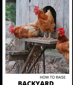 How to Raise Backyard Chicken: Backyard Chickens Book for Beginners: Choosing the Right Breed, Raising Chickens, Feeding, Care, and Troubleshooting (