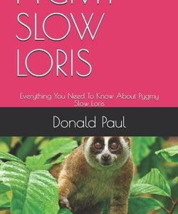 Pygmy Slow Loris: Everything You Need To Know About Pygmy Slow Loris