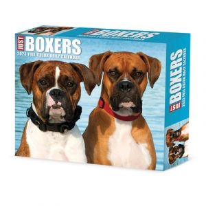 Boxers 2023 Box Calendar