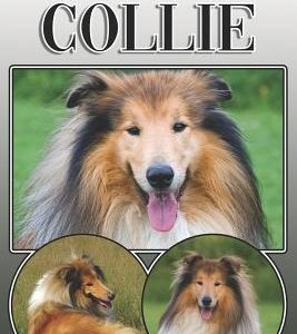 The Collie: A Complete and Comprehensive Owners Guide To: Buying, Owning, Health, Grooming, Training, Obedience, Understanding and