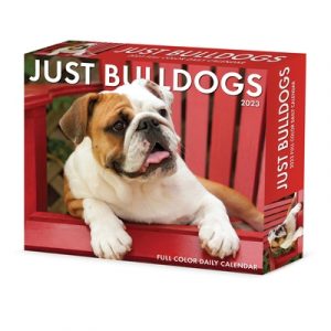 Bulldogs 2023 Box Calendar