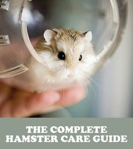 The Complete Hamster Care Guide_ Types, Breeding, Diet, Habitat, Housing, Health And Much More: Book Series About Mice
