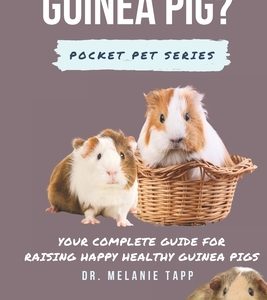 So You Want A Guinea Pig?: Your Complete Guide for Raising Happy Healthy Guinea Pigs