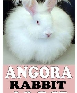 Angora Rabbit as Pet: A Complete Care Guide for Angora Rabbit