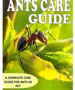 Ants Care Guide: A Complete Care Guide for Ants as Pet
