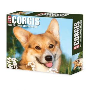 Corgis 2023 Box Calendar