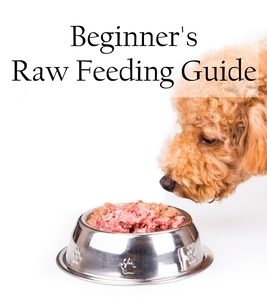Raw Feeding 101: Beginner's Raw Feeding Guide
