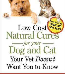 Low Cost Natural Cures for You