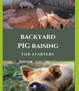Backyard Pig Raising for Straters: Step by Step Guide And Everything You Need To Know On Raising Pigs