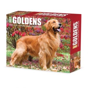 Goldens 2023 Box Calendar