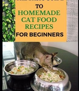 The Basic Guide To Homemade Cat Food Recipes For Beginners