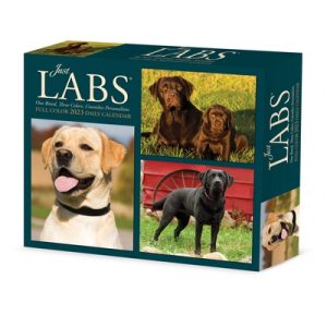 Labs 2023 Box Calendar