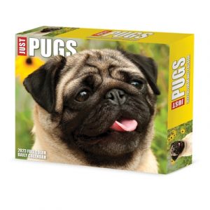 Pugs 2023 Box Calendar