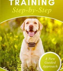E-collar Training Step-by-Step: How-To Innovative Guide to Positively Train Your Dog Through E-collars. Tips and tricks and effective techniques for d