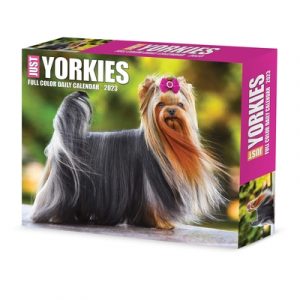 Yorkies 2023 Box Calendar