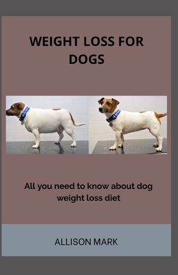 Weight Loss For Dog: All You Need To Know About Dogs Weight Loss diet
