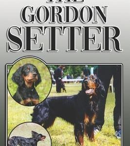 The Gordon Setter: A Complete and Comprehensive Owners Guide to: Buying, Owning, Health, Grooming, Training, Obedience, Understanding and