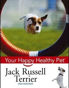 Jack Russell Terrier: Your Happy Healthy Pet