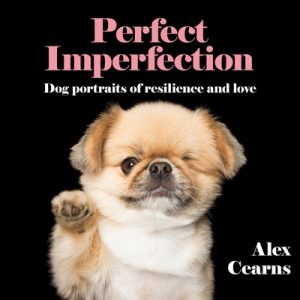 Perfect Imperfection: Dog Portraits of Resilience and Love