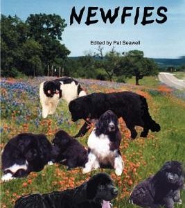 Ninety-Nine Newfies