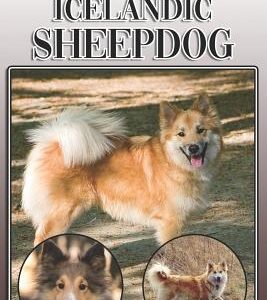 The Icelandic Sheepdog: A Complete and Comprehensive Owners Guide To: Buying, Owning, Health, Grooming, Training, Obedience, Understanding and