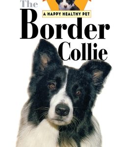 The Border Collie: An Owner's Guide to a Happy Healthy Pet