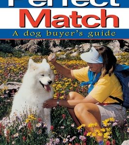 The Perfect Match: A Dog Buyer's Guide