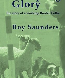 Sheepdog Glory: The Story of a Working Border Collie
