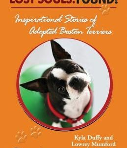 Lost Souls: FOUND! Inspiring Stories of Adopted Boston Terriers