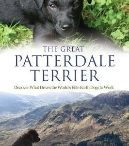 The Great Patterdale Terrier