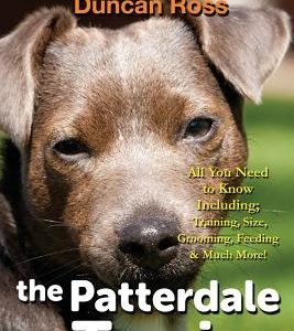 The Patterdale Terrier