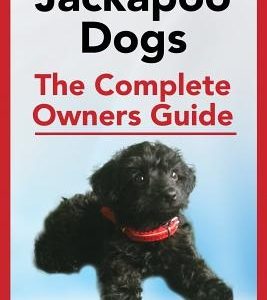 Jackapoo Dogs: The Complete Owner's Guide