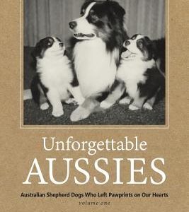 Unforgettable Aussies: Australian Shepherd Dogs Who Left Pawprints on Our Hearts