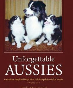 Unforgettable Aussies: Australian Shepherds Who Left Pawprints on Our Hearts