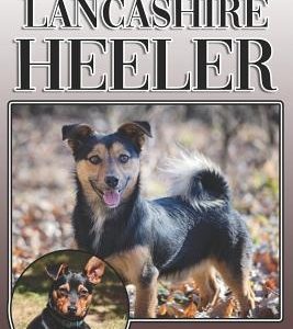 The Lancashire Heeler: A Complete and Comprehensive Owners Guide to: Buying, Owning, Health, Grooming, Training, Obedience, Understanding and