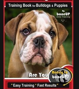 Bulldogs Training Book for Bulldogs & Puppies by Boneup Dog Training: Are You Ready to Bone Up? Easy Training * Fast Results Bulldog Training Book