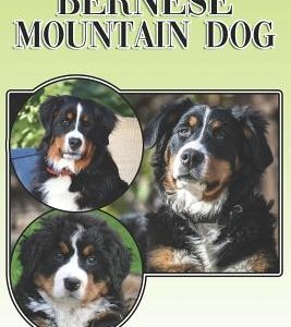 The Bernese Mountain Dog: A Complete and Comprehensive Beginners Guide To: Buying, Owning, Health, Grooming, Training, Obedience, Understanding