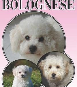 The Bolognese: A Complete and Comprehensive Beginners Guide To: Buying, Owning, Health, Grooming, Training, Obedience, Understanding