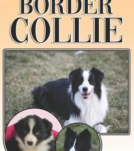The Border Collie: A Complete and Comprehensive Owners Guide To: Buying, Owning, Health, Grooming, Training, Obedience, Understanding and