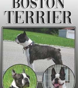 The Boston Terrier: A Complete and Comprehensive Owners Guide To: Buying, Owning, Health, Grooming, Training, Obedience, Understanding and