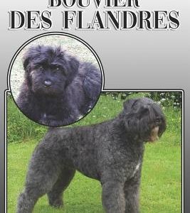 The Bouvier Des Flandres: A Complete and Comprehensive Owners Guide To: Buying, Owning, Health, Grooming, Training, Obedience, Understanding and